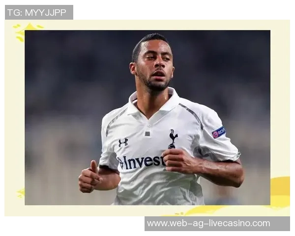 比利时足球明星的辉煌历程与未来展望分析